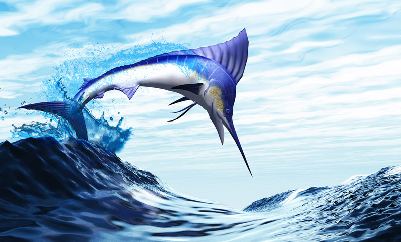 Illustration of a swordfish jumping out of the water