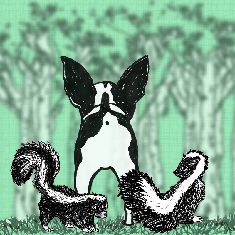 Illustration of dog facing away presenting his rear end to two little skunks by artist Luba Sharapan