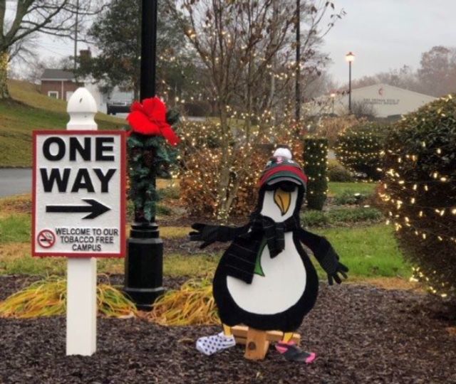 picture of Octa the broken wooden penguin lawn decoration.